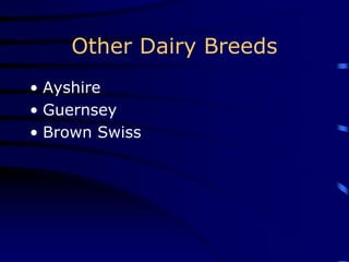 Other Dairy Breeds
• Ayshire
• Guernsey
• Brown Swiss
 