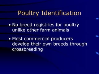 Poultry Identification
• No breed registries for poultry
unlike other farm animals
• Most commercial producers
develop their own breeds through
crossbreeding
 