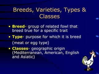 Breeds, Varieties, Types &
Classes
• Breed- group of related fowl that
breed true for a specific trait
• Type- purpose for which it is breed
(meat or egg type)
• Classes- geographic origin
(Mediterranean, American, English
and Asiatic)
 