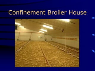 Confinement Broiler House
 