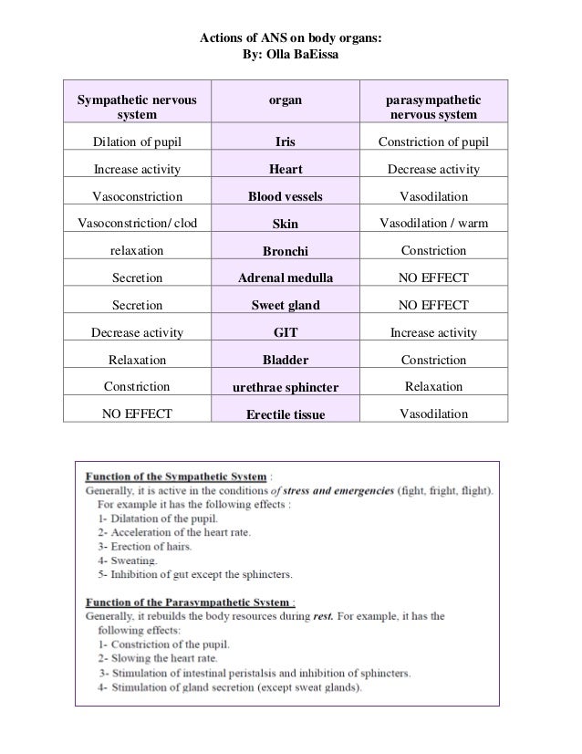 Physiology Bds Level 3 Actions Of Ans On Body Organs
