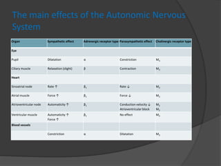 The main effects of the Autonomic Nervous
System
Organ Sympathetic effect Adrenergic receptor type Parasympathetic effect Cholinergic receptor type
Eye
Pupil Dilatation α Constriction M3
Ciliary muscle Relaxation (slight) β Contraction M3
Heart
Sinoatrial node Rate ↑ β1 Rate ↓ M2
Atrial muscle Force ↑ β1 Force ↓ M2
Atrioventricular node Automaticity ↑ β1 Conduction velocity ↓
Atrioventricular block
M2
M2
Ventricular muscle Automaticity ↑
Force ↑
β1 No effect M2
Blood vessels
Constriction α Dilatation M3
 