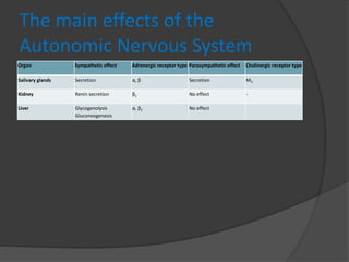 The main effects of the
Autonomic Nervous System
Organ Sympathetic effect Adrenergic receptor type Parasympathetic effect Cholinergic receptor type
Salivary glands Secretion α, β Secretion M3
Kidney Renin secretion β1 No effect -
Liver Glycogenolysis
Gluconeogenesis
α, β2 No effect
 