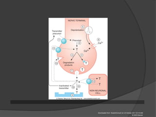 Downloaded from: StudentConsult (on 23 October 2011 03:19 AM)
© 2005 Elsevier
 