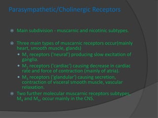 Parasympathetic/Cholinergic Receptors
 Main subdivision - muscarnic and nicotinic subtypes.
 Three main types of muscarnic receptors occur(mainly
heart, smooth muscle, glands)
 M1 receptors ('neural') producing slow excitation of
ganglia.
 M2 receptors ('cardiac') causing decrease in cardiac
rate and force of contraction (mainly of atria).
 M3 receptors ('glandular') causing secretion,
contraction of visceral smooth muscle, vascular
relaxation.
 Two further molecular muscarnic receptors subtypes,
M4 and M5, occur mainly in the CNS.
 