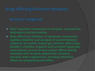 Drugs Affecting Muscarnic Receptors
Muscarnic antagonists
 Most important compounds are atropine, scopolamine,
ipratropium and pirenzepine.
 Main effects are inhibition of secretions; tachycardia,
pupillary dilatation and paralysis of accommodation;
relaxation of smooth muscle (gut, bronchi, biliary tract,
bladder); inhibition of gastric acid secretion (especially
pirenzepine); central nervous system effects (mainly
excitatory with atropine; depressant, including
amnesia, with scopolamine), including antiemetic
effect and antiparkinsonian effect.
 