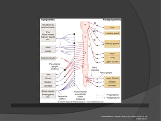 Downloaded from: StudentConsult (on 23 October 2011 03:19 AM)
© 2005 Elsevier
 