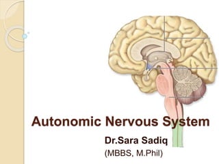 Autonomic Nervous System
Dr.Sara Sadiq
(MBBS, M.Phil)
 