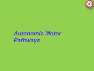 Autonomic Motor
Pathways
 