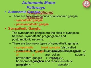 Autonomic Motor
Pathways
Preganglionic
Neurons
• Autonomic Ganglia
– There are two major groups of autonomic ganglia
• sympathetic ganglia
• parasympathetic ganglia
• Sympathetic Ganglia:
– The sympathetic ganglia are the sites of synapses
between sympathetic preganglionic and
postganglionic neurons.
– There are two major types of sympathetic ganglia:
• sympathetic trunk ganglia (also called
vertebral chain ganglia or paravertebral ganglia)
(collateral)- Five types of
are celiac
ganglion,
• prevertebr
al
prevertebra
l
mesenteric
gangli
a
ganglia
ganglion
,
superio
r inferior
mesenteric
ganglion,
aorticorenal ganglion and renal
ganglion.
 