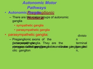 Autonomic Motor
Pathways
Preganglionic
Neurons
• Autonomic Ganglia
– There are two major groups of autonomic
ganglia
• sympathetic ganglia
• parasympathetic ganglia
• parasympathetic ganglia:
– Preganglionic axons of the
parasympathetic
synapse with postganglionic neurons in
(intramural) ganglia. They are the
ciliary
divisio
n
terminal
ganglio
n,
pterygopalatine ganglion, submandibular ganglion, and
otic ganglion
 