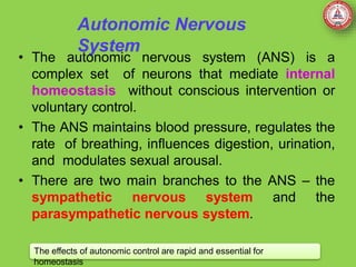 Autonomic Nervous
System
• The autonomic nervous system (ANS) is a
complex set of neurons that mediate internal
homeostasis without conscious intervention or
voluntary control.
• The ANS maintains blood pressure, regulates the
rate of breathing, influences digestion, urination,
and modulates sexual arousal.
• There are two main branches to the ANS – the
sympathetic nervous system and the
parasympathetic nervous system.
The effects of autonomic control are rapid and essential for
homeostasis
 