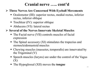 Cranial nerve ….. cont’d
 Three Nerves Are Concerned With Eyeball Movements
 Oculomotor (III): superior rectus, medial rectus, inferior
rectus, inferior oblique
 Trochlear (IV): superior oblique
 Abducens (VI): lateral rectus
 Several of the Nerves Innervate Skeletal Muscles
 The Facial nerve (VII) controls muscles of facial
expression
 The Spinal accessory (XI) stimulates the trapezius and
sternocleidomastoid muscles
 Chewing muscles (masseter, temporalis) are innervated by
the Trigeminal (V)
 Speech muscles (larynx) are under the control of the Vagus
(X)
 The Hypoglossal (XII) moves the tongue
13
 