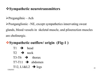 24
T1  head
T2  neck
T3-T6  thorax
T7-T11  abdomen
T12, L1&L2  legs
Sympathetic outflow/ origin (Fig-1 )
Sympathetic neurotransmitters
Pregangilnic – Ach
Postganglionic –NE, except sympathetics innervating sweat
glands, blood vessels in skeletal muscle, and piloerection muscles
are cholinergic.
7/28/2022
 
