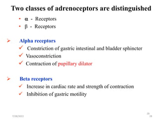 28
Two classes of adrenoceptors are distinguished
•  - Receptors
• β - Receptors
7/28/2022 28
 Alpha receptors
 Constriction of gastric intestinal and bladder sphincter
 Vasoconstriction
 Contraction of pupillary dilator
 Beta receptors
 Increase in cardiac rate and strength of contraction
 Inhibition of gastric motility
 