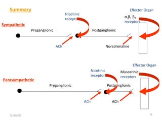 36
Sympathetic
Preganglionic Postganglionic
Noradrenaline
α,β1 β2
receptors
Nicotinic
receptor
ACh
Effector Organ
Parasympathetic
Preganglionic Postganglionic
ACh
Muscarinic
receptors
Nicotinic
receptor
ACh
Effector Organ
Summary
7/28/2022
 