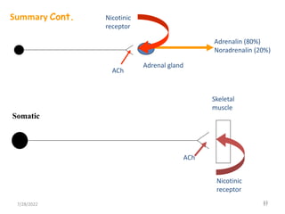 37
37
Adrenal gland
ACh
Nicotinic
receptor
Adrenalin (80%)
Noradrenalin (20%)
Skeletal
muscle
Nicotinic
receptor
ACh
Summary Cont.
Somatic
7/28/2022
 