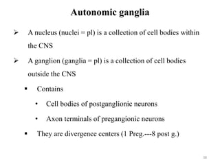 Autonomic ganglia
 A nucleus (nuclei = pl) is a collection of cell bodies within
the CNS
 A ganglion (ganglia = pl) is a collection of cell bodies
outside the CNS
 Contains
• Cell bodies of postganglionic neurons
• Axon terminals of pregangionic neurons
 They are divergence centers (1 Preg.---8 post g.)
38
 