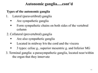 Autonomic ganglia.....cont’d
Types of the autonomic ganglia
1. Lateral (paravertibral) ganglia
 Are sympathetic ganglia
 Form sympathetic chains on both sides of the vertebral
column
2. Collateral (prevertebral) ganglia
 Are also sympathetic ganglia
 Located in midway b/n the cord and the viscera
 3 types: celiac g., superior mesentric g. and Inferior MG
3. Terminal ganglia: a parasympathetic ganglia, located near/within
the organ that they innervate
40
 