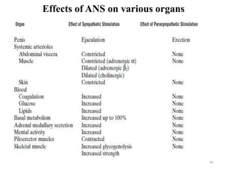 Effects of ANS on various organs
42
 