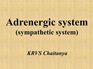 Adrenergic system
(sympathetic system)
KRVS Chaitanya
 