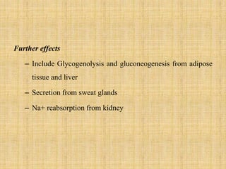 Further effects
– Include Glycogenolysis and gluconeogenesis from adipose
tissue and liver
– Secretion from sweat glands
– Na+ reabsorption from kidney
 