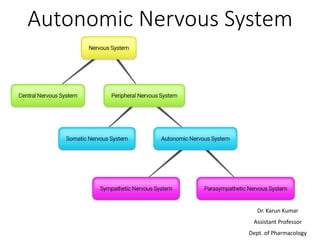 Autonomic Nervous System
Dr. Karun Kumar
Assistant Professor
Dept. of Pharmacology
 
