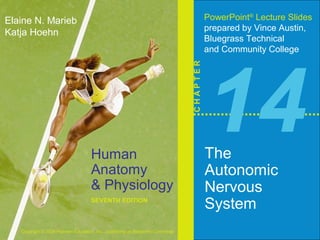 Human 
Anatomy 
& Physiology 
SEVENTH EDITION 
Elaine N. Marieb 
Katja Hoehn 
Copyright © 2006 Pearson Education, Inc., publishing as Benjamin Cummings 
PowerPoint® Lecture Slides 
prepared by Vince Austin, 
Bluegrass Technical 
and Community College 
C H A P T E R 14 The 
Autonomic 
Nervous 
System 
 