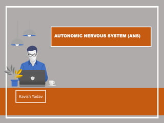 AUTONOMIC NERVOUS SYSTEM (ANS)
Ravish Yadav
 