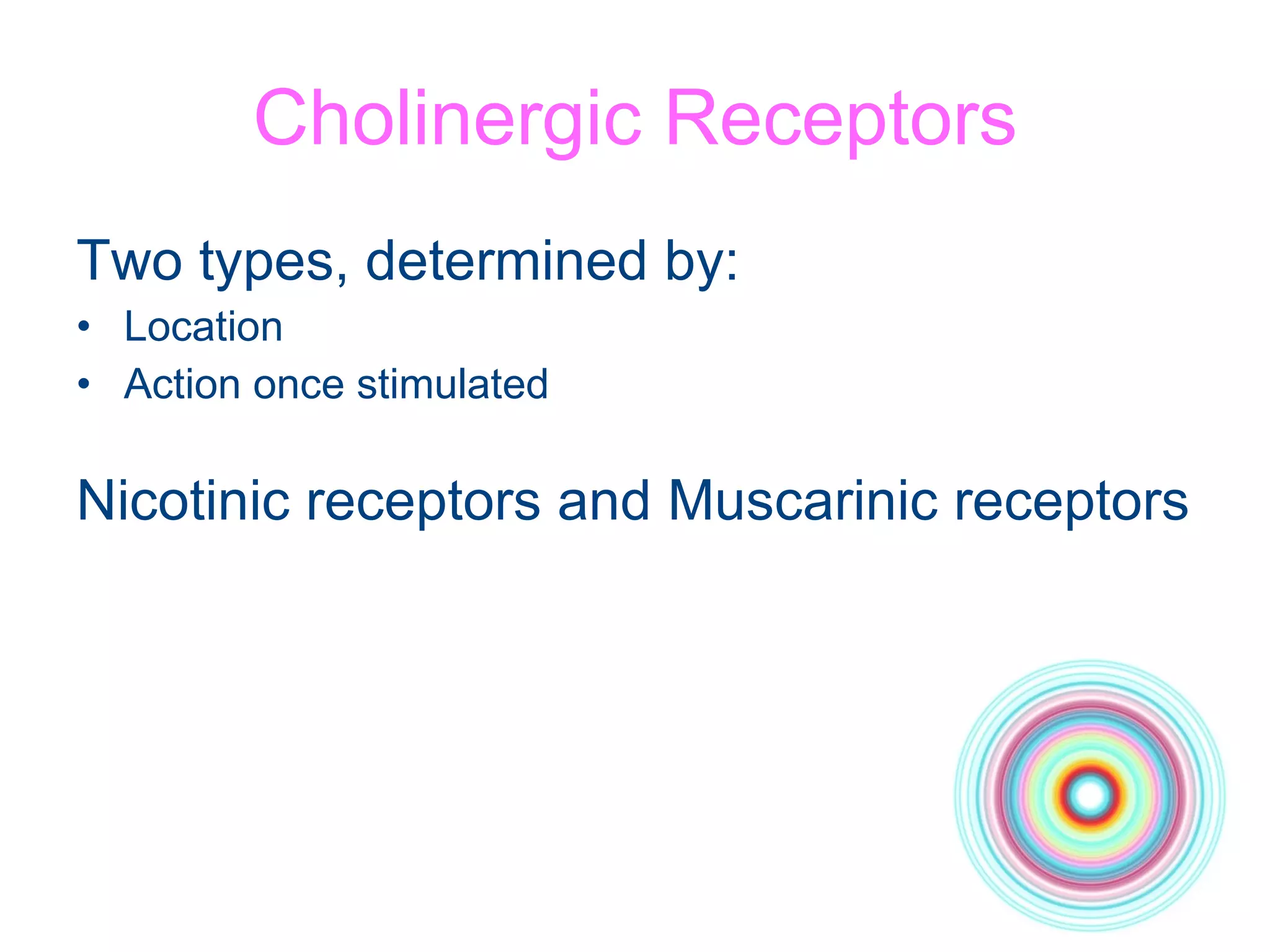 Cholinergic Receptors Two types, determined by: Location Action once stimulated Nicotinic receptors and Muscarinic receptors 