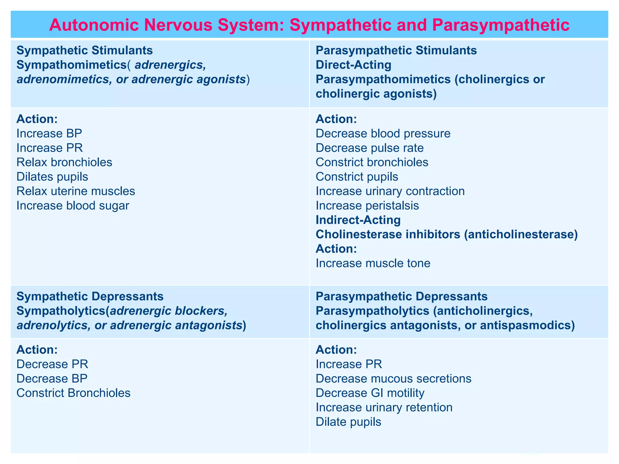 Autonomic Nervous System: Sympathetic and Parasympathetic Sympathetic Stimulants Sympathomimetics (  adrenergics, adrenomimetics, or adrenergic agonists ) Parasympathetic Stimulants Direct-Acting Parasympathomimetics (cholinergics or cholinergic agonists) Action:  Increase BP Increase PR Relax bronchioles Dilates pupils Relax uterine muscles Increase blood sugar Action:  Decrease blood pressure Decrease pulse rate Constrict bronchioles Constrict pupils Increase urinary contraction  Increase peristalsis Indirect-Acting Cholinesterase inhibitors (anticholinesterase)  Action:  Increase muscle tone  Sympathetic Depressants Sympatholytics( adrenergic blockers, adrenolytics, or adrenergic antagonists ) Parasympathetic Depressants Parasympatholytics (anticholinergics, cholinergics antagonists, or antispasmodics) Action:  Decrease PR Decrease BP Constrict Bronchioles Action:  Increase PR Decrease mucous secretions  Decrease GI motility Increase urinary retention Dilate pupils 