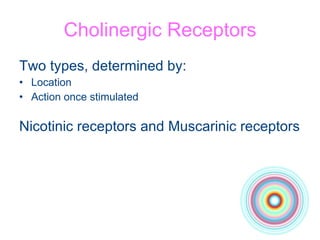 Cholinergic Receptors Two types, determined by: Location Action once stimulated Nicotinic receptors and Muscarinic receptors 