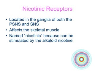 Nicotinic Receptors Located in the ganglia of both the  PSNS and SNS Affects the skeletal muscle Named “nicotinic” because can be stimulated by the alkaloid nicotine 