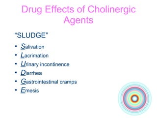 Drug Effects of Cholinergic Agents “ SLUDGE” S alivation L acrimation U rinary incontinence D iarrhea G astrointestinal cramps E mesis 