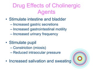 Drug Effects of Cholinergic Agents Stimulate intestine and bladder Increased gastric secretions Increased gastrointestinal motility Increased urinary frequency Stimulate pupil Constriction (miosis) Reduced intraocular pressure Increased salivation and sweating 