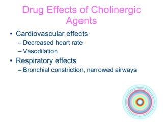 Drug Effects of Cholinergic Agents Cardiovascular effects Decreased heart rate Vasodilation Respiratory effects Bronchial constriction, narrowed airways 