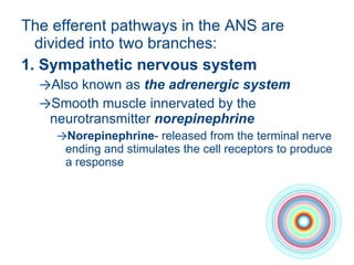 The efferent pathways in the ANS are divided into two branches:  1. Sympathetic nervous system Also known as  the adrenergic system Smooth muscle innervated by the neurotransmitter  norepinephrine  Norepinephrine - released from the terminal nerve ending and stimulates the cell receptors to produce a response 
