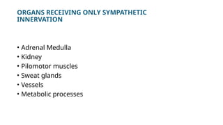 Pilometer Comprehensive Overview of the Autonomic Nervous System: Structure ...