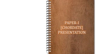 PAPER-I
[CHORDATE]
PRESENTATION
 