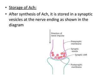 • Storage of Ach:
• After synthesis of Ach, it is stored in a synaptic
vesicles at the nerve ending as shown in the
diagram
 
