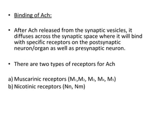 • Binding of Ach:
• After Ach released from the synaptic vesicles, it
diffuses across the synaptic space where it will bind
with specific receptors on the postsynaptic
neuron/organ as well as presynaptic neuron.
• There are two types of receptors for Ach
a) Muscarinic receptors (M1,M2, M3, M4, M5)
b)Nicotinic receptors (Nn, Nm)
 