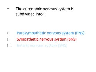 • The autonomic nervous system is
subdivided into:
I. Parasympathetic nervous system (PNS)
II. Sympathetic nervous system (SNS)
III. Enteric nervous system (ENS)
 