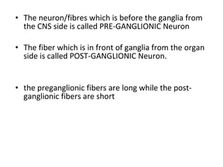 • The neuron/fibres which is before the ganglia from
the CNS side is called PRE-GANGLIONIC Neuron
• The fiber which is in front of ganglia from the organ
side is called POST-GANGLIONIC Neuron.
• the preganglionic fibers are long while the post-
ganglionic fibers are short
 