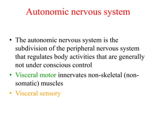 Autonomic nervous system
• The autonomic nervous system is the
subdivision of the peripheral nervous system
that regulates body activities that are generally
not under conscious control
• Visceral motor innervates non-skeletal (non-
somatic) muscles
• Visceral sensory
 
