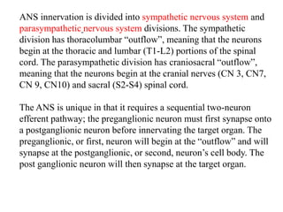ANS innervation is divided into sympathetic nervous system and
parasympathetic nervous system divisions. The sympathetic
division has thoracolumbar “outflow”, meaning that the neurons
begin at the thoracic and lumbar (T1-L2) portions of the spinal
cord. The parasympathetic division has craniosacral “outflow”,
meaning that the neurons begin at the cranial nerves (CN 3, CN7,
CN 9, CN10) and sacral (S2-S4) spinal cord.
The ANS is unique in that it requires a sequential two-neuron
efferent pathway; the preganglionic neuron must first synapse onto
a postganglionic neuron before innervating the target organ. The
preganglionic, or first, neuron will begin at the “outflow” and will
synapse at the postganglionic, or second, neuron’s cell body. The
post ganglionic neuron will then synapse at the target organ.
 