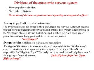 Divisions of the autonomic nervous system
• Parasympathetic division
• Sympathetic division
Serve most of the same organs but cause opposing or antagonistic effects
Parasysmpathetic: routine maintenance
The hypothalamus is the center of the parasympathetic nervous system. It operates
through various interconnecting systems and organs. This system is responsible in
the “thinking” phase in stressful situations and is called the “Rest and Digest”
phase because your body goes back to its normal responses.
“rest &digest”
Sympathetic: mobilization & increased metabolism
This type of the autonomic nervous system is responsible in the distribution of
essential nutrients and oxygen to the various parts of the body. The ANS is
responsible for “Flight or Fight.” The body has to respond immediately because of
the urgency of some situations. “fight, flight or fright” or “fight,
flight or freeze”
 