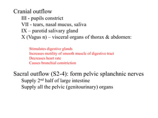 Cranial outflow
III - pupils constrict
VII - tears, nasal mucus, saliva
IX – parotid salivary gland
X (Vagus n) – visceral organs of thorax & abdomen:
Stimulates digestive glands
Increases motility of smooth muscle of digestive tract
Decreases heart rate
Causes bronchial constriction
Sacral outflow (S2-4): form pelvic splanchnic nerves
Supply 2nd half of large intestine
Supply all the pelvic (genitourinary) organs
 