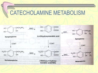 CATECHOLAMINE METABOLISM
 
