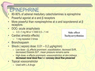 EPINEPHRINE
• 80-90% of adrenal medullary catecholamines is epinephrine
• Powerful agonist at α and β receptors
• More powerful than norepinephrine at α and isoproterenol at β
receptors
• DOC- acute anaphylaxis
– 0.5 -1 mg IM or 1:1000 0.5 – 1 ml
• Cardiac arrest(α effects)
– 1 mg repeated 3 times
• Bronchospasm
• Shock ( sepsis) dose: 0.01 – 0.2 µg/kg/min)
– Low dose – β2 effects prominent ,vosodilatation, decresed SVR,
decreased Diastolic B.P , mean pressure remains same
– High dose- α effects prominent- vosoconstriction at skin,kidneys
decreased renal blood flow but coronary blood flow preserved
• Topical vosoconstrictor
– Used with L.A drugs
Side effect
Tachyarrythmias
 