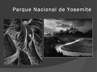 Parque Nacional de Yosemite
 